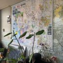 채원공인중개사사무소 이미지