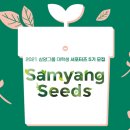 씨즈마케팅 이미지