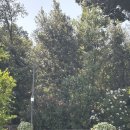 마음의집 | 로마 남부 투어 폼페이, 마음의 전율이 일어난 후기