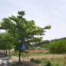 학성다목적체육관 이미지