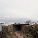 스테이오묘 | 내면의 오감을 깨우다 [제주 한림 감성 숙소 | 스테이오묘 후기]