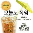 🌻찐달걀/김/찐감자/단백질 섭취🌻 이미지