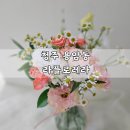 라플로레라 이미지