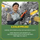 농민농장 티스토리