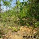 도흥길 2 네이버블로그