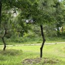 (주)포파코 포항상도지점 | 5월 일상(2)