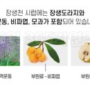 365자연약국 이미지