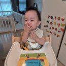 사랑몬테소리어린이집 | AMI 몬테소리 오리엔테이션 과정 수료후기