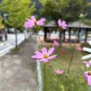 칠갑산오토캠핑장 | 청양 &#34;칠갑산오토캠핑장&#34; - 우중캠핑으로 시원하게 스타트!! .. 쿠디 10.0 &amp; 에어타프