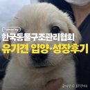 사단법인 한국동물구조관리협회 동물병원 | 포인핸드 유기견 입양 후기, 한국동물구조관리협회에서 율무 만난 이야기