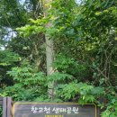 제주가좋다