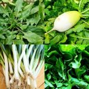 다래농원 이미지