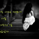 늦은 후회 - 보보 이미지