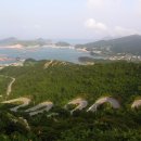 상라리 이미지