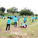 The 건강나무 이미지