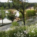 미리내캠프 이미지