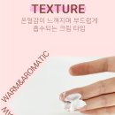 한스바디