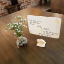 시가통 이미지