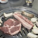 황금주먹고기 이미지