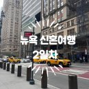 써밋 전망대 야경에 버드랜드 재즈까지, 뉴욕 신혼여행 Day 2 기록