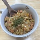 인생멍컷 | [10月] 때가 되면 동이 트고, 이윽고 햇살이 창으로 흘러드는 것처럼
