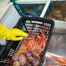 동광수산 이미지