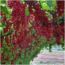 주연농장 이미지