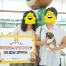 대구고양이분양 테디럽 이미지