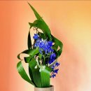 동양꽃꽂이 이미지