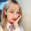 꿈둥이 이미지
