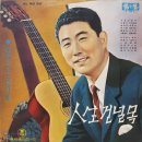 눈물의 누이동생 / 최갑석 (1965) 이미지