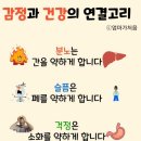 파스 이미지