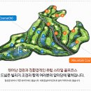 석정골프여행