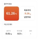 스위트온 다이어트 15일차 - 야채계란전, 치과