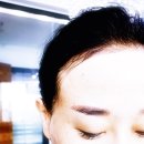유스텔라