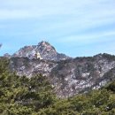 준식농장 이미지