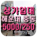 왕지공인중개사사무소 이미지