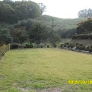 청풍면사무소 앞 이미지