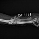 마리네 동물병원 이미지