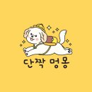 단짝멍몽 이미지