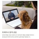 놀로동물행동클리닉 이미지