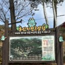 한국외국어대학교 | 경기도 용인 단풍 명소 용인 자연휴양림 한국외국어대학교 명수당 메타세콰이어 솔직후기