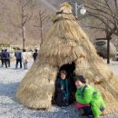 삼척미로정원 이미지