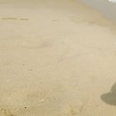 해당화피는아침 이미지