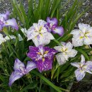 (주)예진 이미지