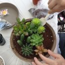 보수동행정복지센터 이미지