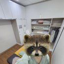 영도안마원 이미지