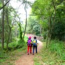 양산팔경 금강둘레길 이미지