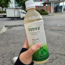 다이어트에는 혈당관리 필수 혈당관리음료 당당한모금 먹어본 후기