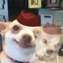 (주)벨프리즘 | 홈바디의 일상(이었던 것)